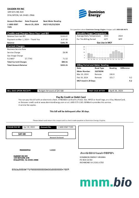 USA Dominion Energy rachunek za usługi komunalne szablon w formacie Word i PDF